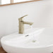 101898EN00 Bathroom/Bathroom Sink Faucets/Single Hole Sink Faucets