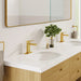 101898GN00 Bathroom/Bathroom Sink Faucets/Single Hole Sink Faucets
