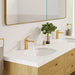 101898GN00 Bathroom/Bathroom Sink Faucets/Single Hole Sink Faucets