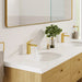 101920GN00 Bathroom/Bathroom Sink Faucets/Single Hole Sink Faucets