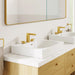 101922GN00 Bathroom/Bathroom Sink Faucets/Widespread Sink Faucets