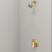 105377GN00 Bathroom/Bathroom Tub & Shower Faucets/Shower Only Faucet Trim