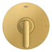 106176GN00 Bathroom/Bathroom Tub & Shower Faucets/Shower Only Faucet Trim