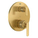 106177GN00 Bathroom/Bathroom Tub & Shower Faucets/Shower Only Faucet Trim