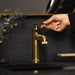 106222GN00 Bathroom/Bathroom Sink Faucets/Single Hole Sink Faucets