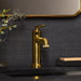 106222GN00 Bathroom/Bathroom Sink Faucets/Single Hole Sink Faucets