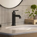 1062222430 Bathroom/Bathroom Sink Faucets/Single Hole Sink Faucets