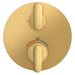106236GN00 Bathroom/Bathroom Tub & Shower Faucets/Shower Only Faucet Trim