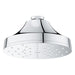 1117140000 Bathroom/Bathroom Tub & Shower Faucets/Showerheads