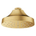111714GN00 Bathroom/Bathroom Tub & Shower Faucets/Showerheads