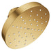 111714GN00 Bathroom/Bathroom Tub & Shower Faucets/Showerheads