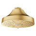 111716GN00 Bathroom/Bathroom Tub & Shower Faucets/Showerheads