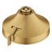 111716GN00 Bathroom/Bathroom Tub & Shower Faucets/Showerheads