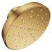 111727GN00 Bathroom/Bathroom Tub & Shower Faucets/Showerheads