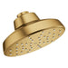 111727GN00 Bathroom/Bathroom Tub & Shower Faucets/Showerheads