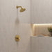 111727GN00 Bathroom/Bathroom Tub & Shower Faucets/Showerheads