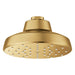 111727GN00 Bathroom/Bathroom Tub & Shower Faucets/Showerheads