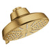 111746GN00 Bathroom/Bathroom Tub & Shower Faucets/Showerheads