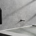 132652431 Bathroom/Bathroom Tub & Shower Faucets/Tub Spouts