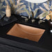 NSL2014-T Bathroom/Bathroom Sinks/Drop In Bathroom Sinks