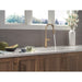 9186-CZ-DST Kitchen/Kitchen Faucets/Pull Down Spray Faucets