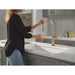 9186TL-CZ-DST Kitchen/Kitchen Faucets/Pull Down Spray Faucets
