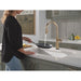 9186TL-CZ-DST Kitchen/Kitchen Faucets/Pull Down Spray Faucets