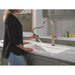 9186TL-CZ-DST Kitchen/Kitchen Faucets/Pull Down Spray Faucets