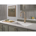 9186TL-CZ-DST Kitchen/Kitchen Faucets/Pull Down Spray Faucets