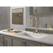 9186TL-CZ-DST Kitchen/Kitchen Faucets/Pull Down Spray Faucets