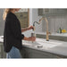 9186TL-CZ-DST Kitchen/Kitchen Faucets/Pull Down Spray Faucets