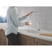9186TL-DST Kitchen/Kitchen Faucets/Pull Down Spray Faucets