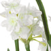60228 Decor/Wall Art & Decor/Accent Accessories 