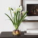 60228 Decor/Wall Art & Decor/Accent Accessories 