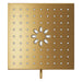 111672GN00 Bathroom/Bathroom Tub & Shower Faucets/Showerheads