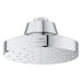 1115180000 Bathroom/Bathroom Tub & Shower Faucets/Showerheads