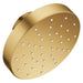 111518GN00 Bathroom/Bathroom Tub & Shower Faucets/Showerheads