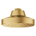 111519GN00 Bathroom/Bathroom Tub & Shower Faucets/Showerheads