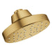 111519GN00 Bathroom/Bathroom Tub & Shower Faucets/Showerheads