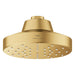 111519GN00 Bathroom/Bathroom Tub & Shower Faucets/Showerheads