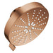 111611DL00 Bathroom/Bathroom Tub & Shower Faucets/Showerheads