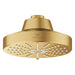 111611GN00 Bathroom/Bathroom Tub & Shower Faucets/Showerheads