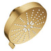 111659GN00 Bathroom/Bathroom Tub & Shower Faucets/Showerheads
