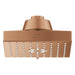 111673DL00 Bathroom/Bathroom Tub & Shower Faucets/Showerheads