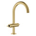 21146GN0 Bathroom/Bathroom Sink Faucets/Single Hole Sink Faucets