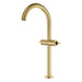 21161GN0 Bathroom/Bathroom Sink Faucets/Single Hole Sink Faucets