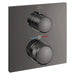 29178A01 Bathroom/Bathroom Tub & Shower Faucets/Shower Only Faucet Trim
