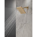 52103-CZ Bathroom/Bathroom Tub & Shower Faucets/Showerheads