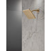 52103-CZ Bathroom/Bathroom Tub & Shower Faucets/Showerheads