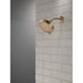 52401-CZ Bathroom/Bathroom Tub & Shower Faucets/Showerheads